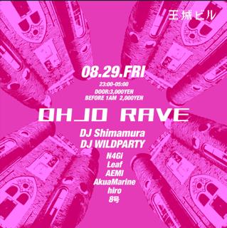 Ohjo Rave Summer Night Out At The Red Castle