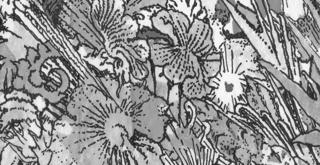 Macadam X Collectif 4Aem • Drafter ~ Bunzen ~ Dj Mâchoire B2B Ob-1