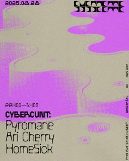 Cybercunt: Pyromane, Ari Cherry, Homesick
