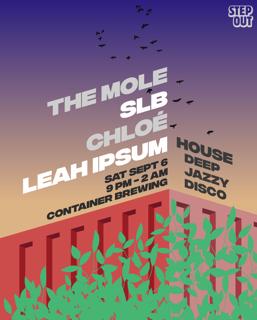 Step Out At Container: The Mole