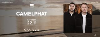 Camelphat
