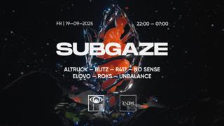 Subgaze 2