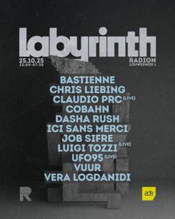 Labyrinth By Radion