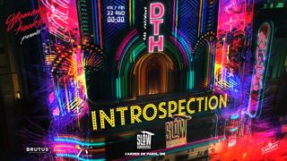 Introspection: D.T.H. (All Night Long)