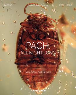 Pach. All Night Long - Manchester Pride Special