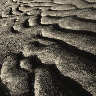 Cotton (Brooklyn) / Rlct (Society 3000)