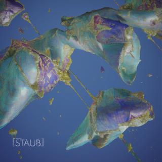 Staub