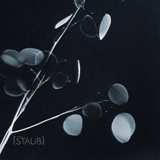 Staub