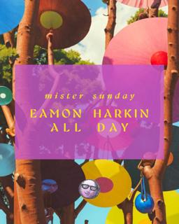 Mister Sunday: Eamon Harkin All Day Long