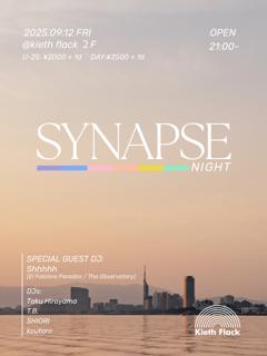 Synapse Night
