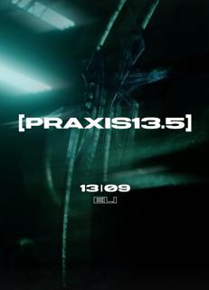 Praxis13.5