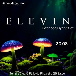 Elevin - Extended Melodic Techno Hybrid Set
