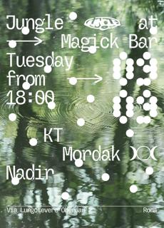 Jungle At Magick Bar