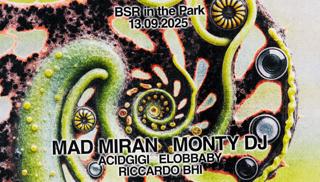 Bsr In The Park