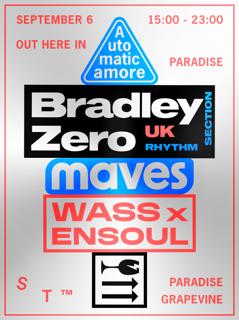 Bradley Zero, Automaticamore, Maves, Wass X Ensoul - Out Here In Paradise