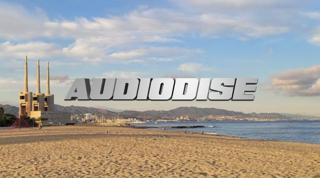Audiodidise Daytime Free Access Beach Party Tba