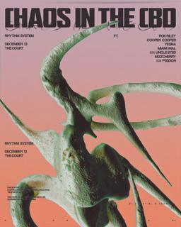 Rhythm System Pres. Chaos In The Cbd