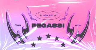 ɴᴇᴡ ᴀɢᴇ: Pegassi