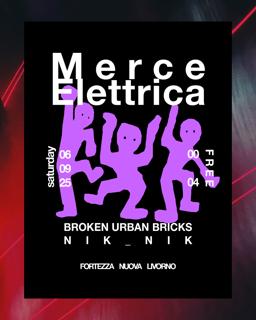 Merce Elettrica Djset