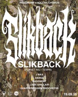 Palidrone X Volens Chorus: Slikback