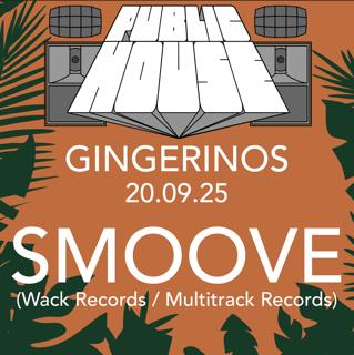 Public House Hifi Party With Smoove (Multitrack Records/Wack Records)