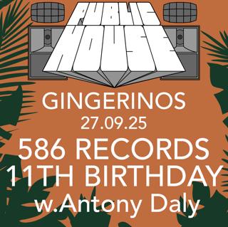 Public House Hifi Party Presents 586 Records 11Th Birthday Party With Antony Daly