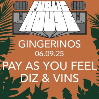 Public House Hifi Party - Payf With Diz & Vins