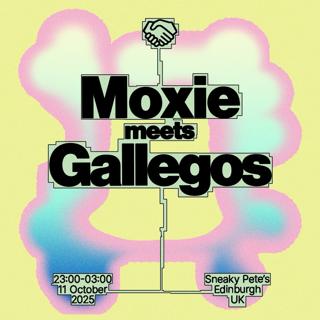 Moxie Meets: Gallegos