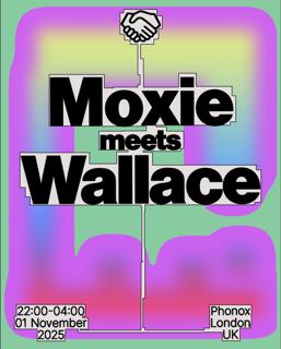 Moxie Meets: Wallace