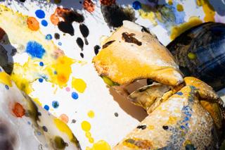 Macadam • David Vunk ~ Romain Fx (Live) ~ Youl