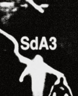 Sda3: Evicshen (Live)