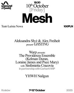 Unsound Kraków 2025: Mesh - Yhwh Nailgun / Kelman Duran / Loraine James / Puce Mary + More