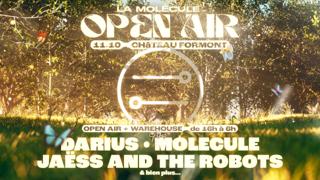 La Molécule Open Air With Darius • Molecule • Jaëss And The Robots