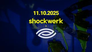 Shockwerk X Ve