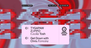 C12 Nite