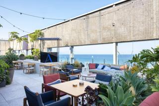 Canceled Liquid Palms & Planet Venus: Known Artist