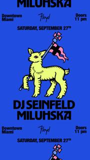 Dj Seinfeld