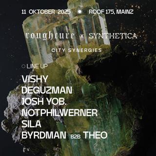 City Synergies