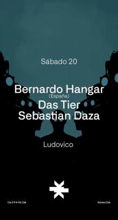 Ludovico + Bernardo Hangar + Das Tier + Sebastian Daza