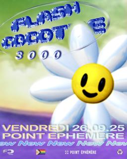 Flash Cocotte 3000