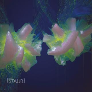 Staub