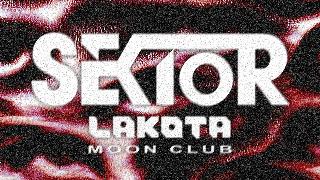 Sektor