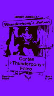 Thunderpony'S Saloon