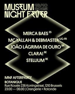 Museum Night Fever: Bota By Night