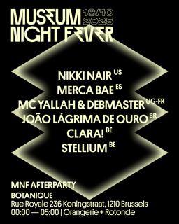 Museum Night Fever: Bota By Night