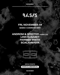 Basis X Common Grit 3.0