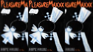 Pleasuremaxxx