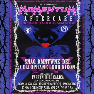 Momentum: Harder Faster Folsom Afters