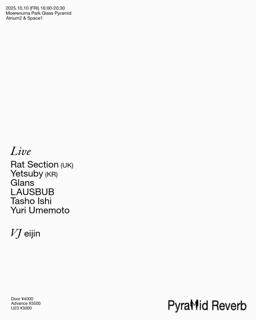 Ott Yarris -Pyramid Reverb-