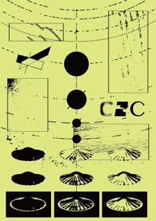 C2C